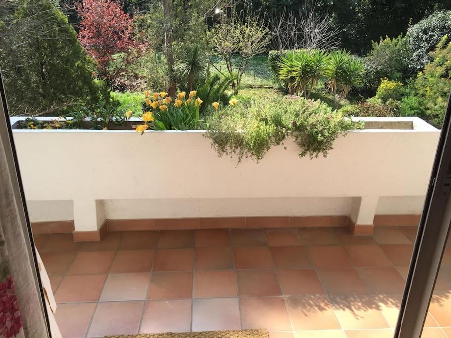 Les Collines D'Estanove, Charming, Bright, Calm Place With Pool Montpellier Eksteriør bilde